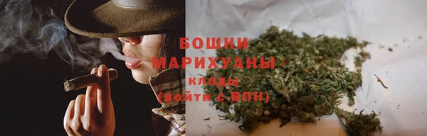 метадон Богданович