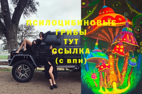 бутик Снежногорск