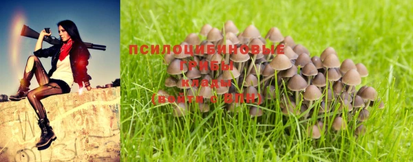 таблы Богородск