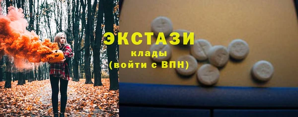 СК Бронницы