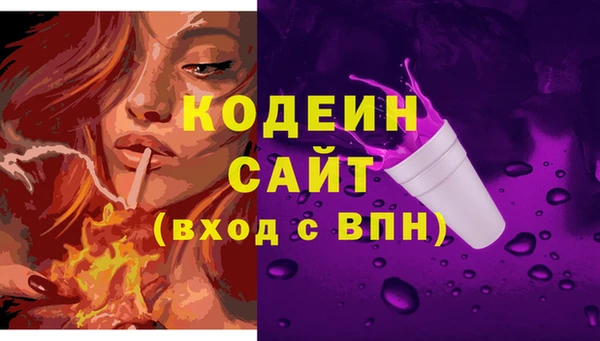 метадон Богданович