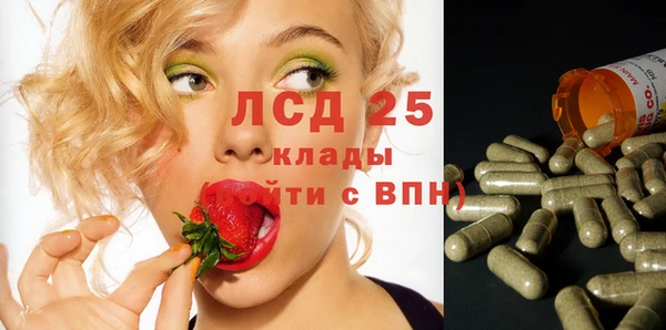 винт Бородино