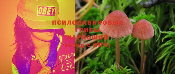 СК Бронницы